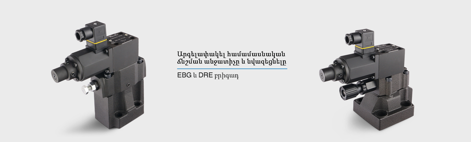 blain hydraulics հիդրավլիկ վերելակի փական